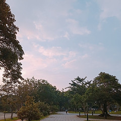 Trí Tấn (Tristan Lee)