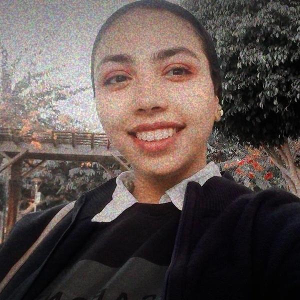 Esraa A.  Amer