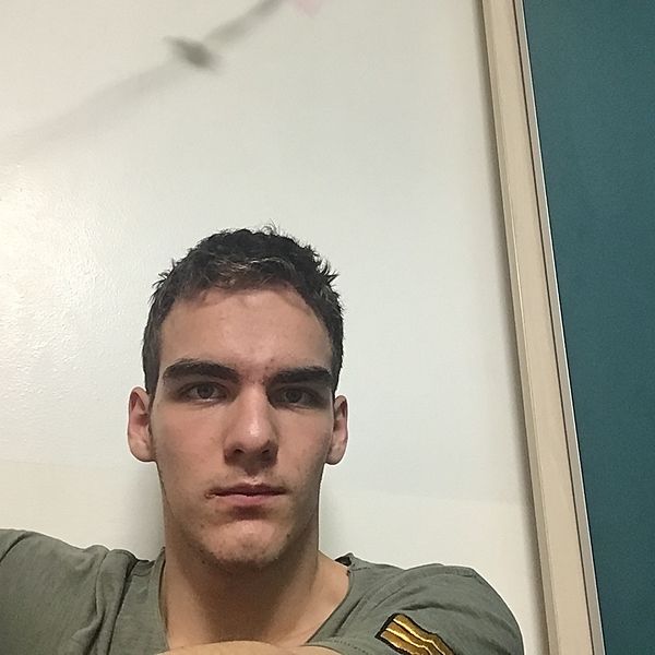 Andrei David
