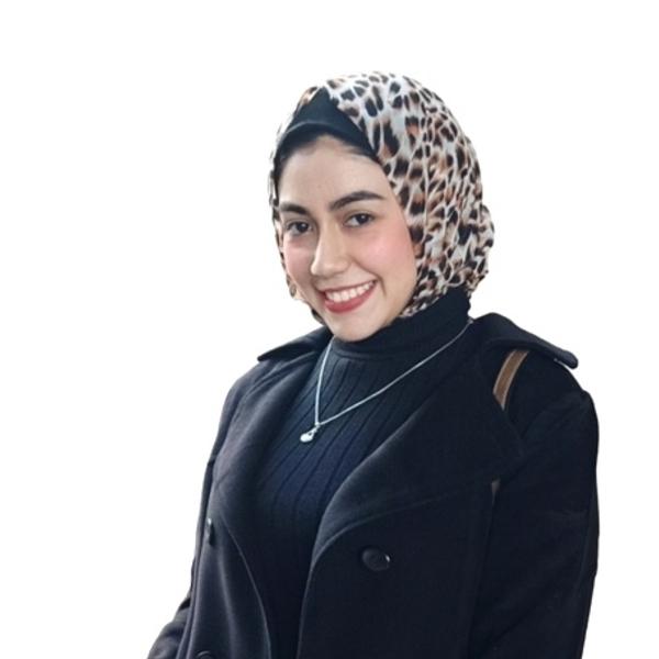 Hams Amr Ismail