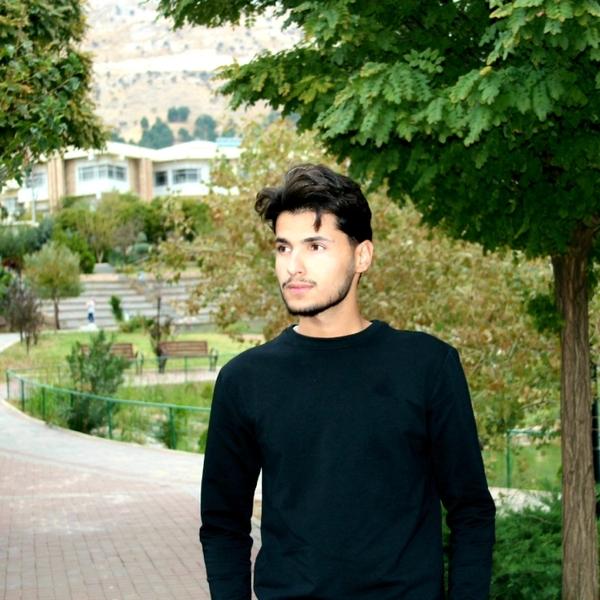 Omer Z Hussain 