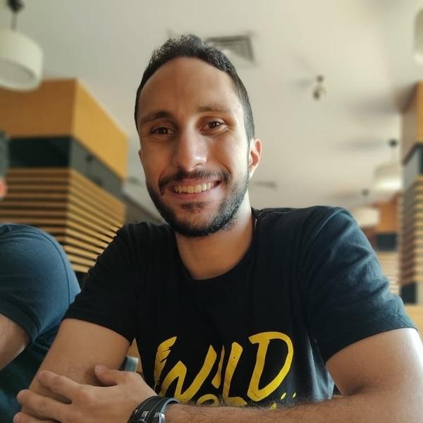 محمد أحمد السعيد شلبي
