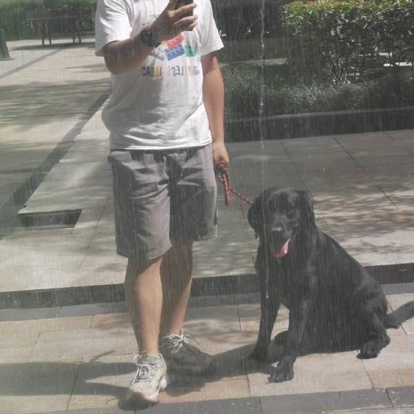 Zihan Su