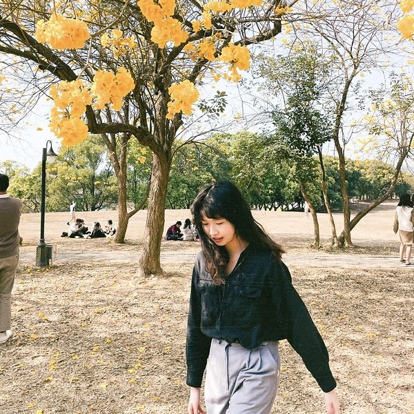 妤萱 楊