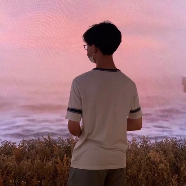 Lingchen Wang
