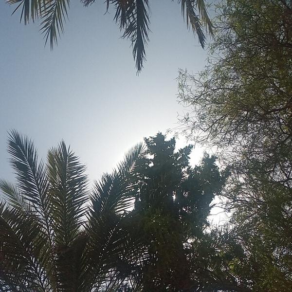 Hachimi My Abdellah