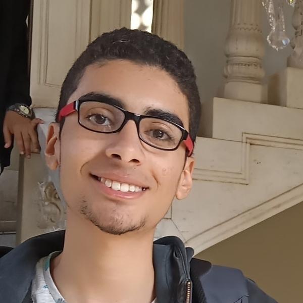 Tarek Mamdouh