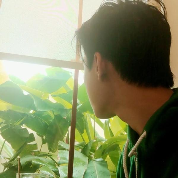Vinh Nguyen 