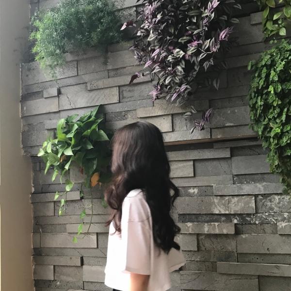 Khanh Ly Hoang