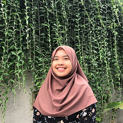 Naning Anis