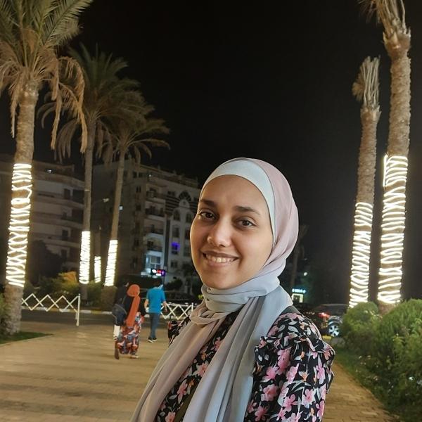 somaya Abdel-Aleem