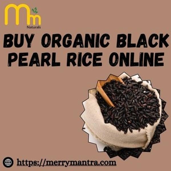 Buy Organic Black Pearl Rice Online