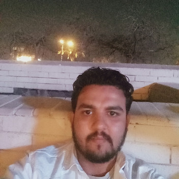tarek elzoghby
