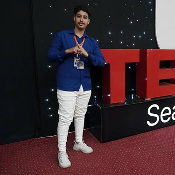 Ali Nasr