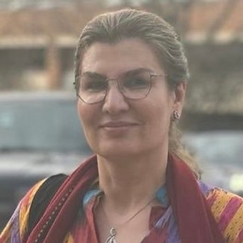 Minhas Majeed Khan, Associate Professor Chair/Deparment of International Relation , UoP