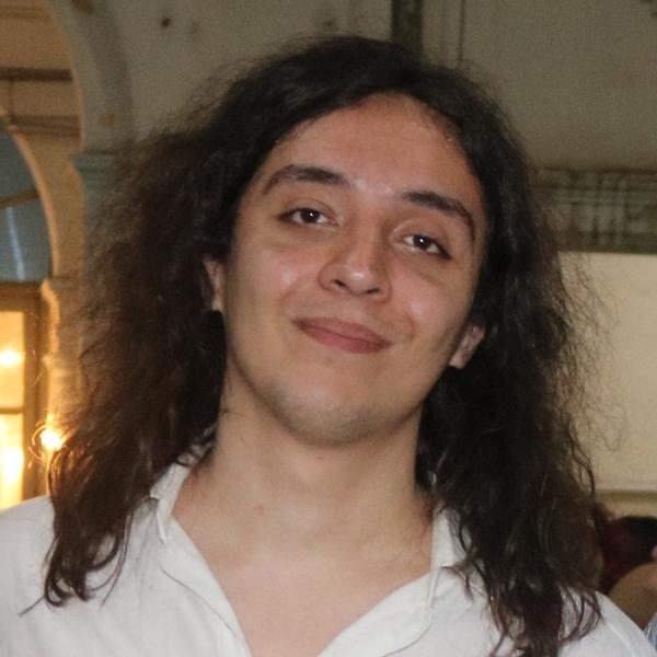 Martín Alsina