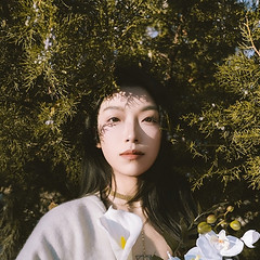 Xianglin Chen