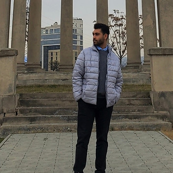 Parsa Shahrestani