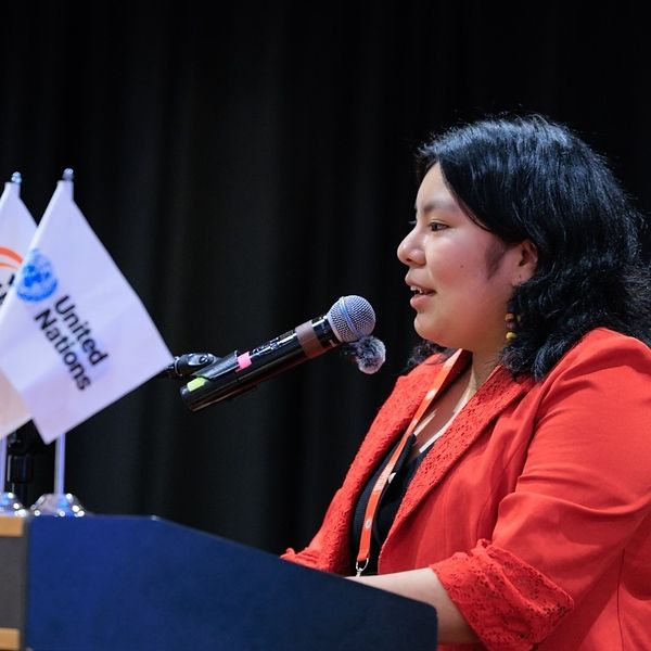 Milagros Soledad Espinoza Jimenez