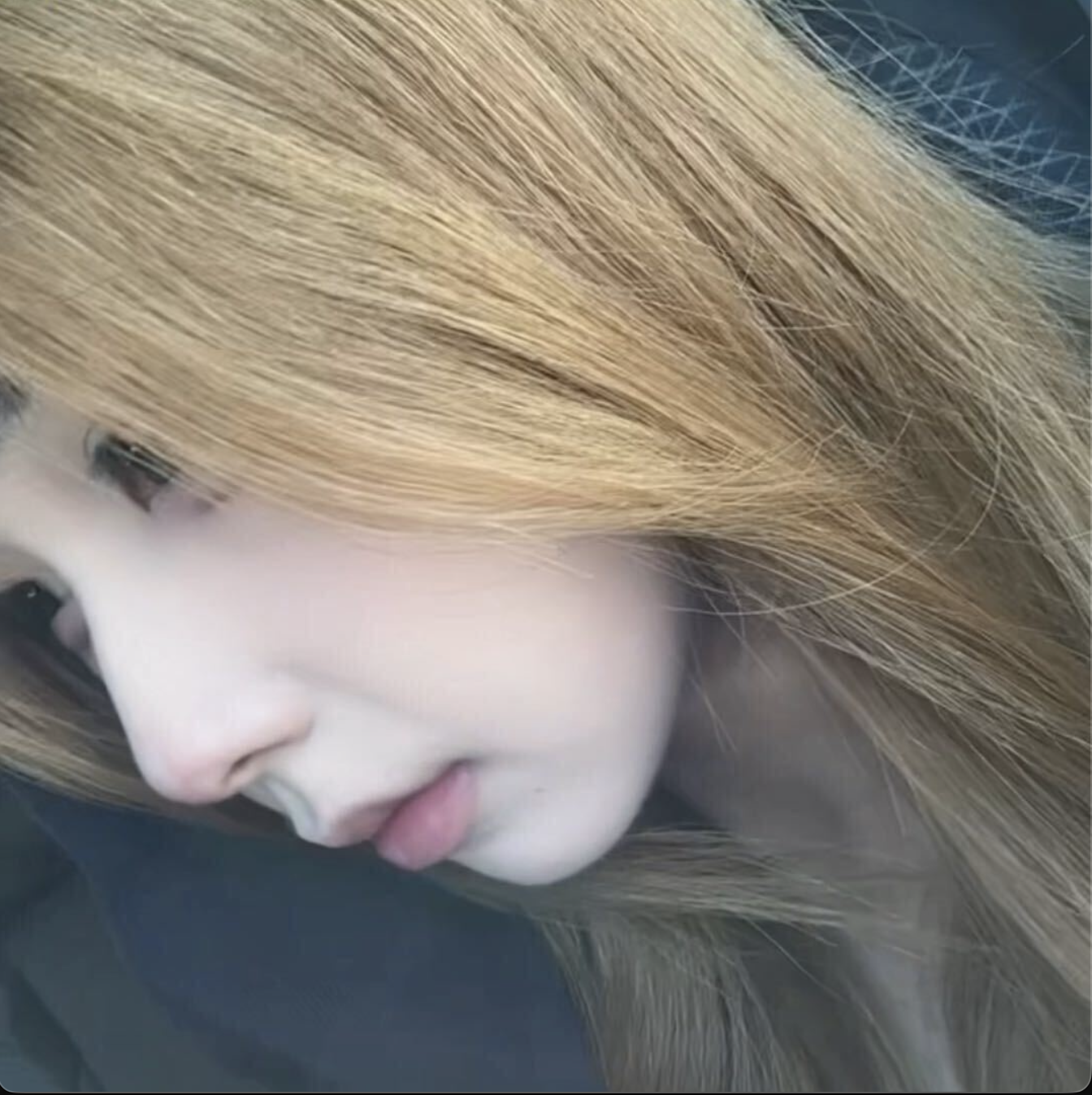 Dianna Qiu