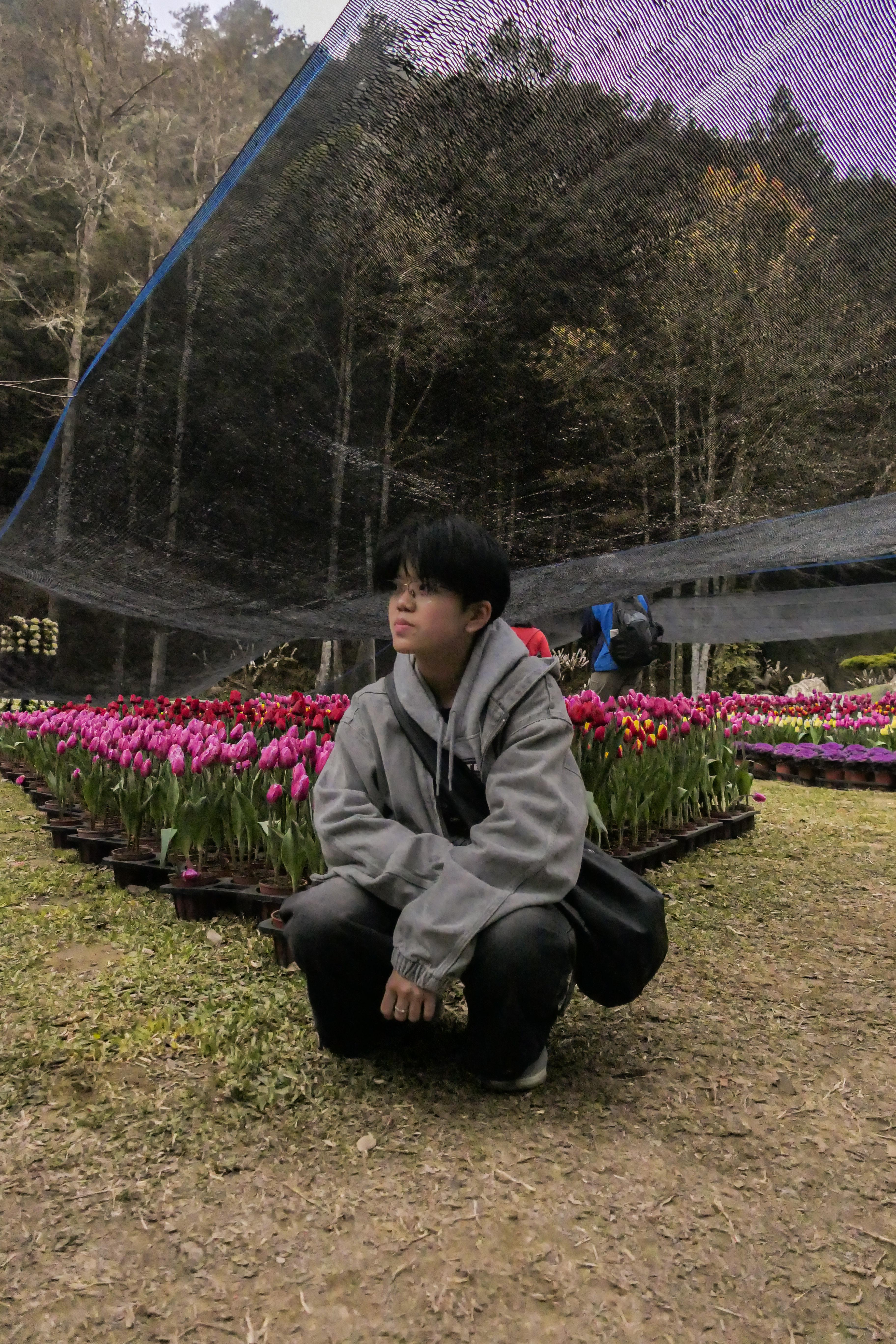 芷媛 徐
