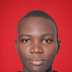 Sylguste Georges Houeenakpon Hounzonlin