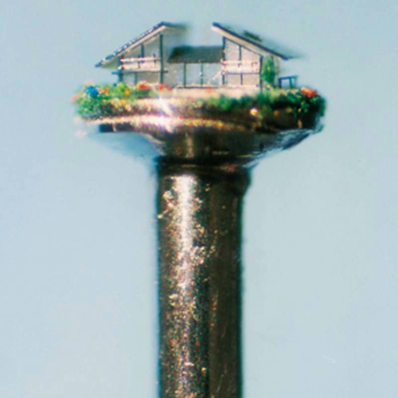Tiny Example The world of tiny things | TED Playlist