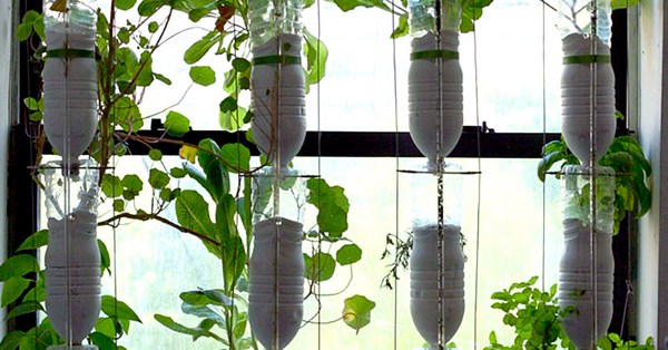 Grow your own stuff | TED Talks