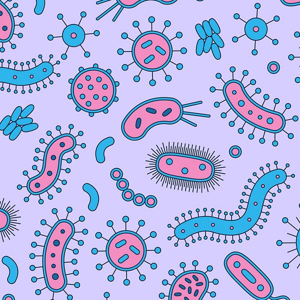 The fabulous life of germs | TED Talks