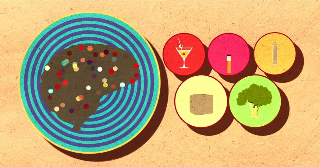 Fascinating TEDEd Lessons about the brain TED Talks