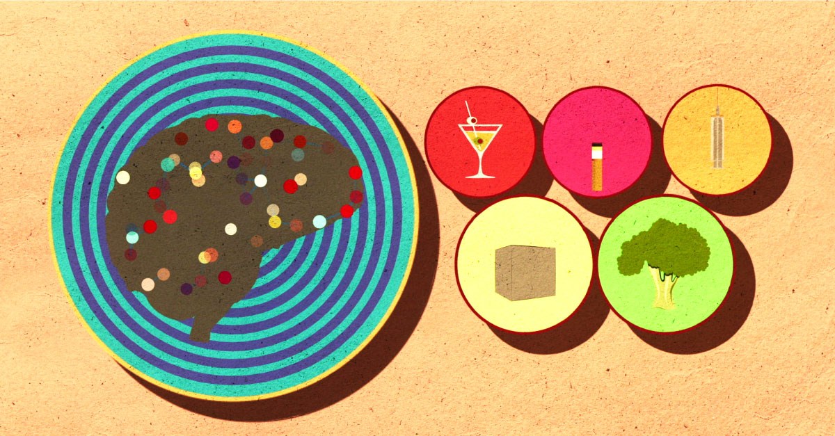 Fascinating TEDEd Lessons about the brain TED Talks