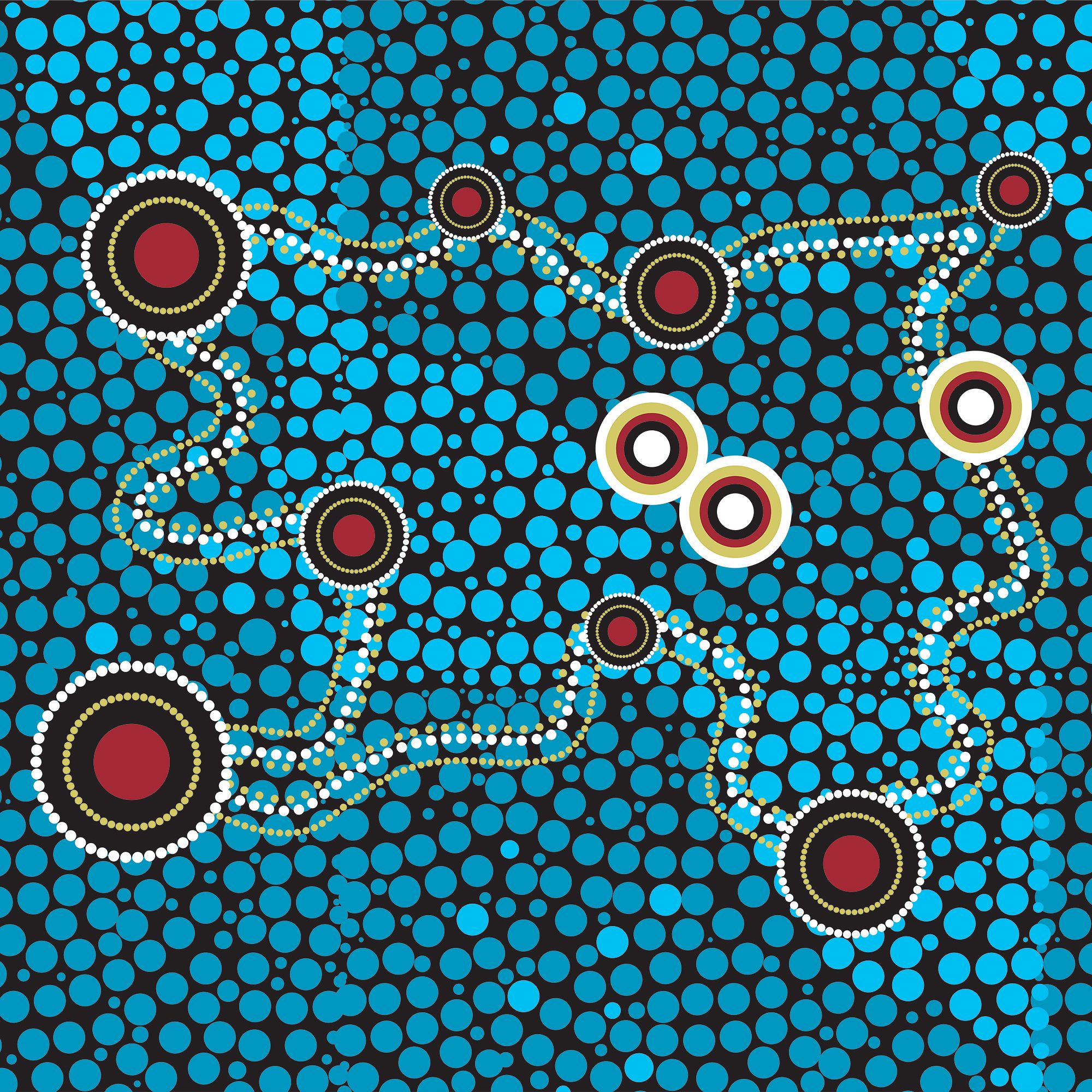 Indigenous voices