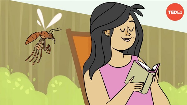 Maria Elena De Obaldia: Why mosquitoes bite some people more than others