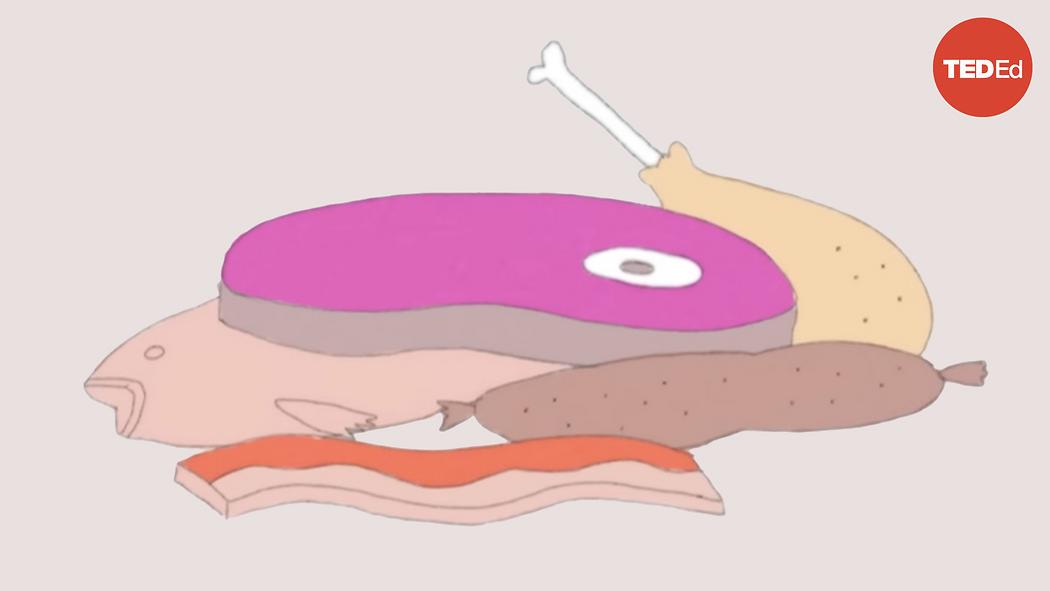 Imagining a Meatless World: The Ripple Effects of a Global Shift Cover