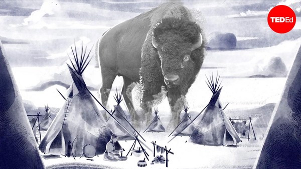 Andrew C. Isenberg: Why did the US try to kill all the bison?