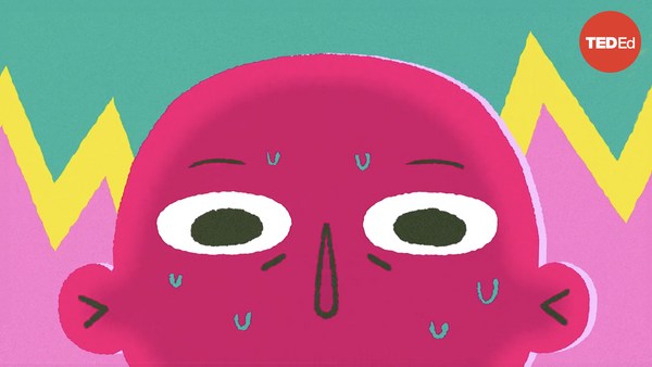 TED-Ed: How to make smart decisions more easily