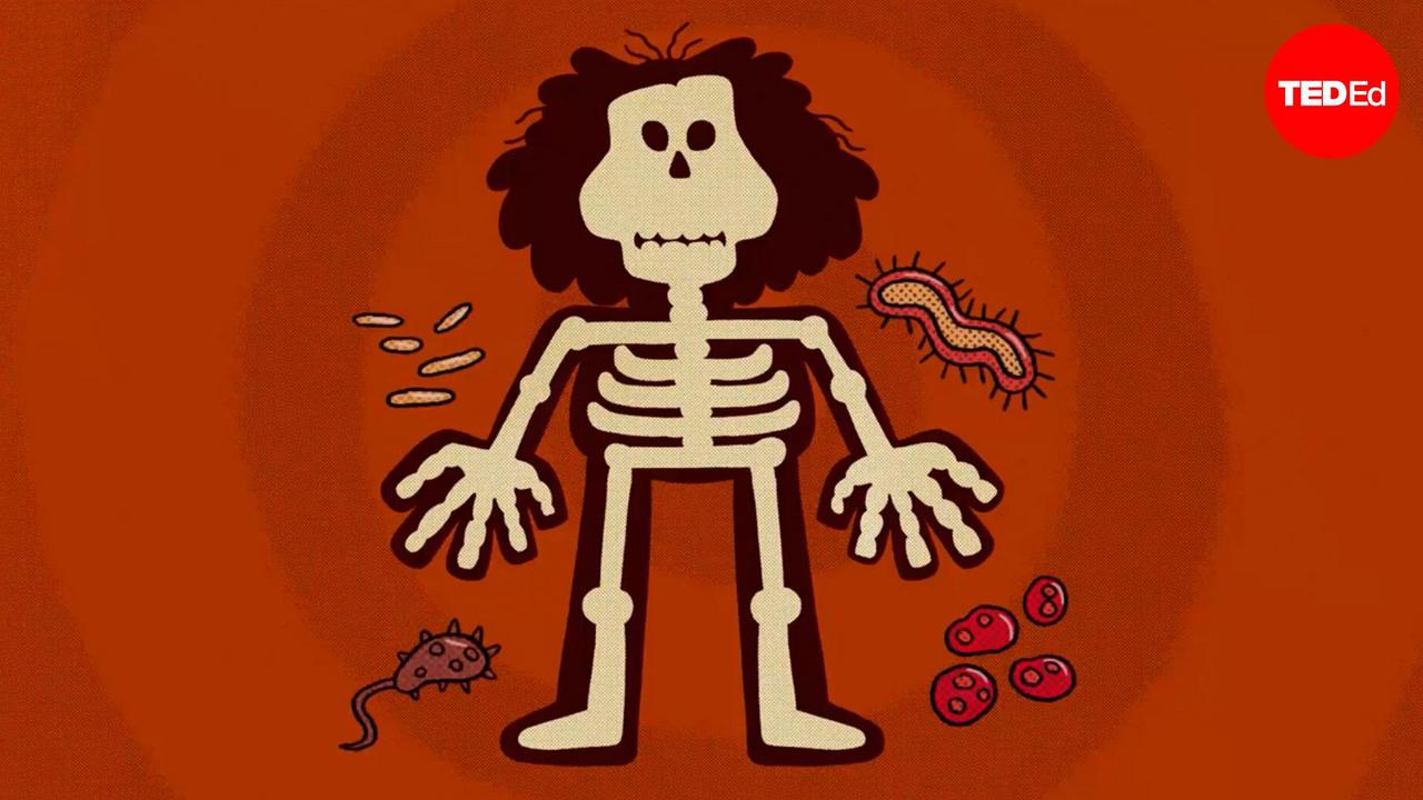 Dan Kwartler: The diseases that changed humanity forever Dan Kwartler: The diseases that changed humanity forever