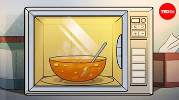 Aaron Slepkov: Why can't you put metal in a microwave?