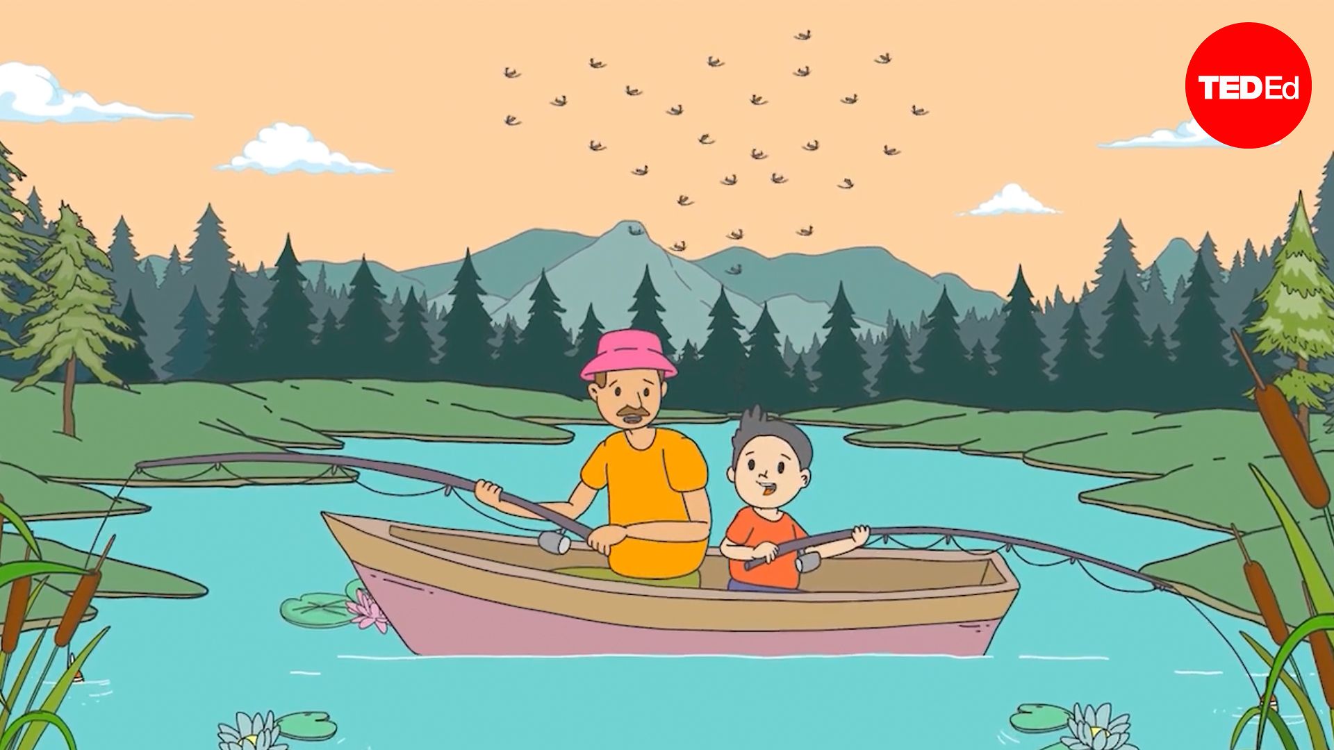 Why do bugs swarm over water?