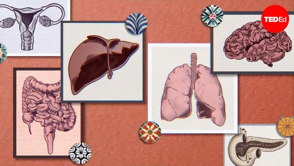 Hyunsoo Joshua No and Trudy Wu: How do doctors determine what stage of cancer you have?