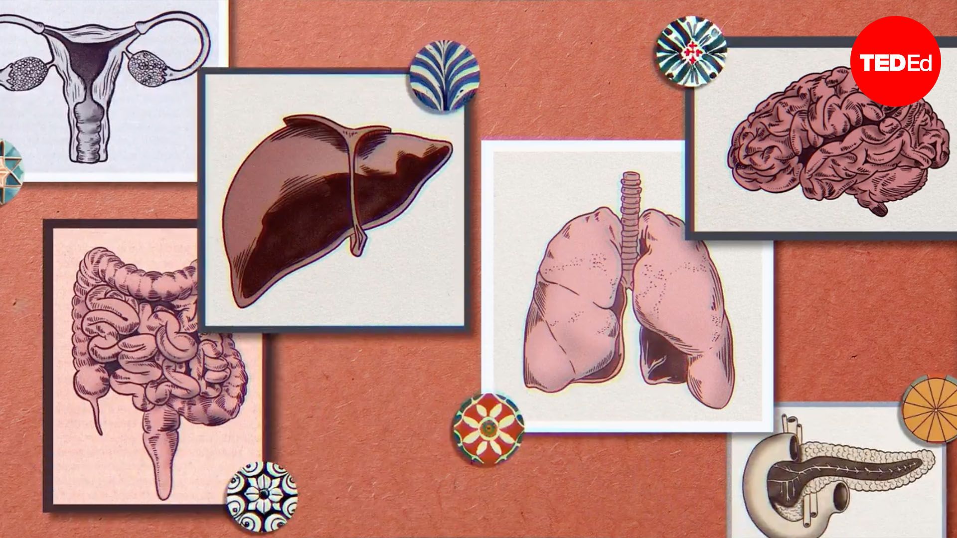 How do doctors determine what stage of cancer you have?