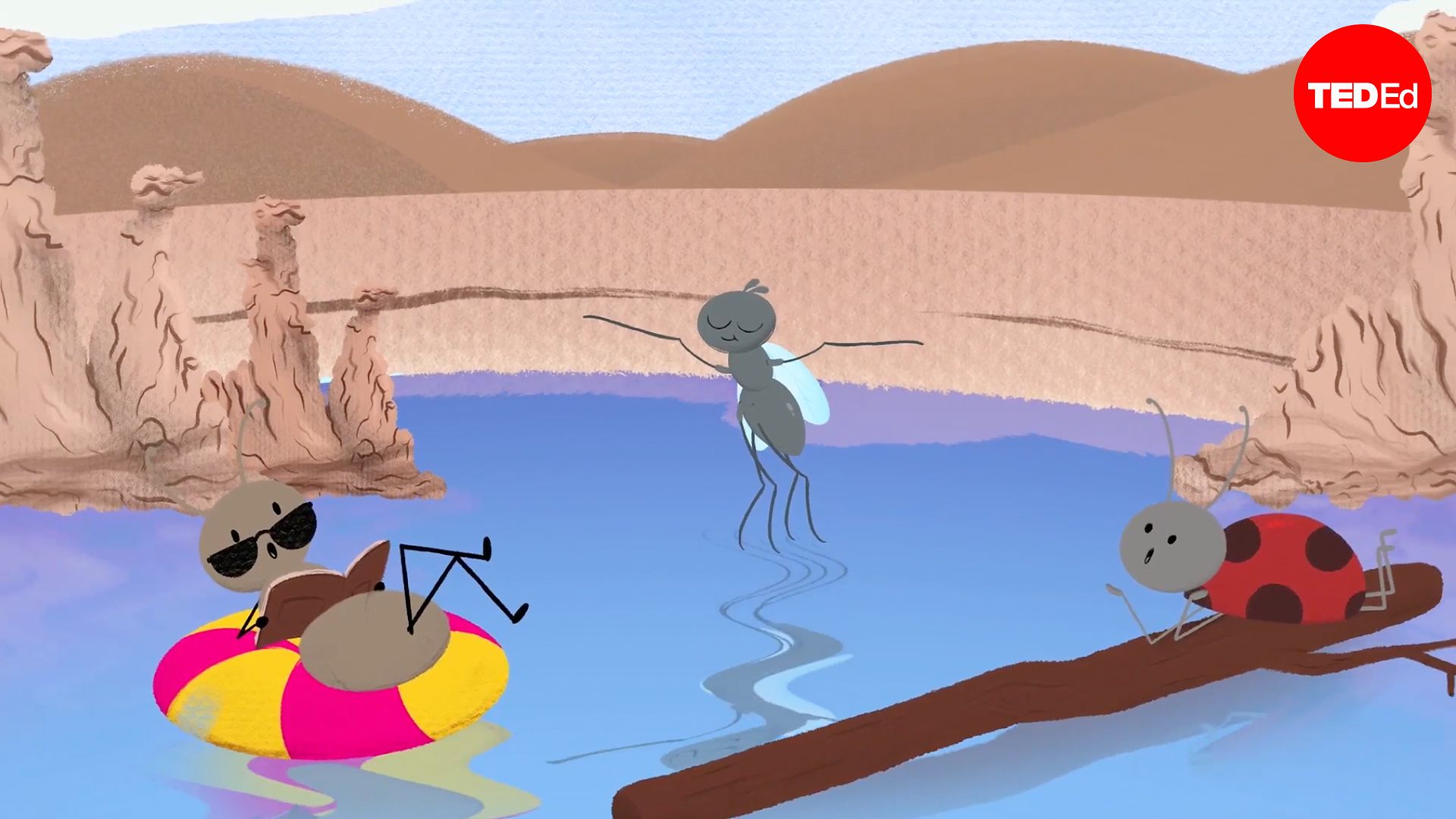 Are there any places on Earth with no bugs?