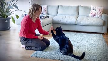 Nicky Trevorrow: How to make your cat happier — in 3 minutes