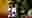 poster placeholder