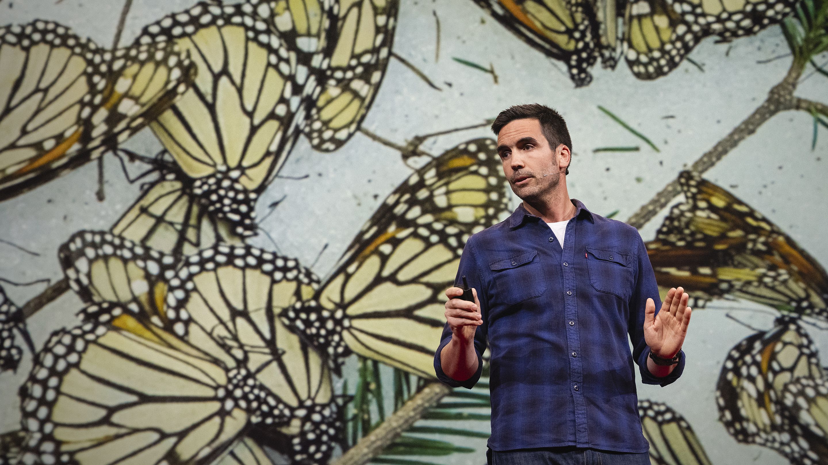 The magical, mesmerizing migration of monarch butterflies