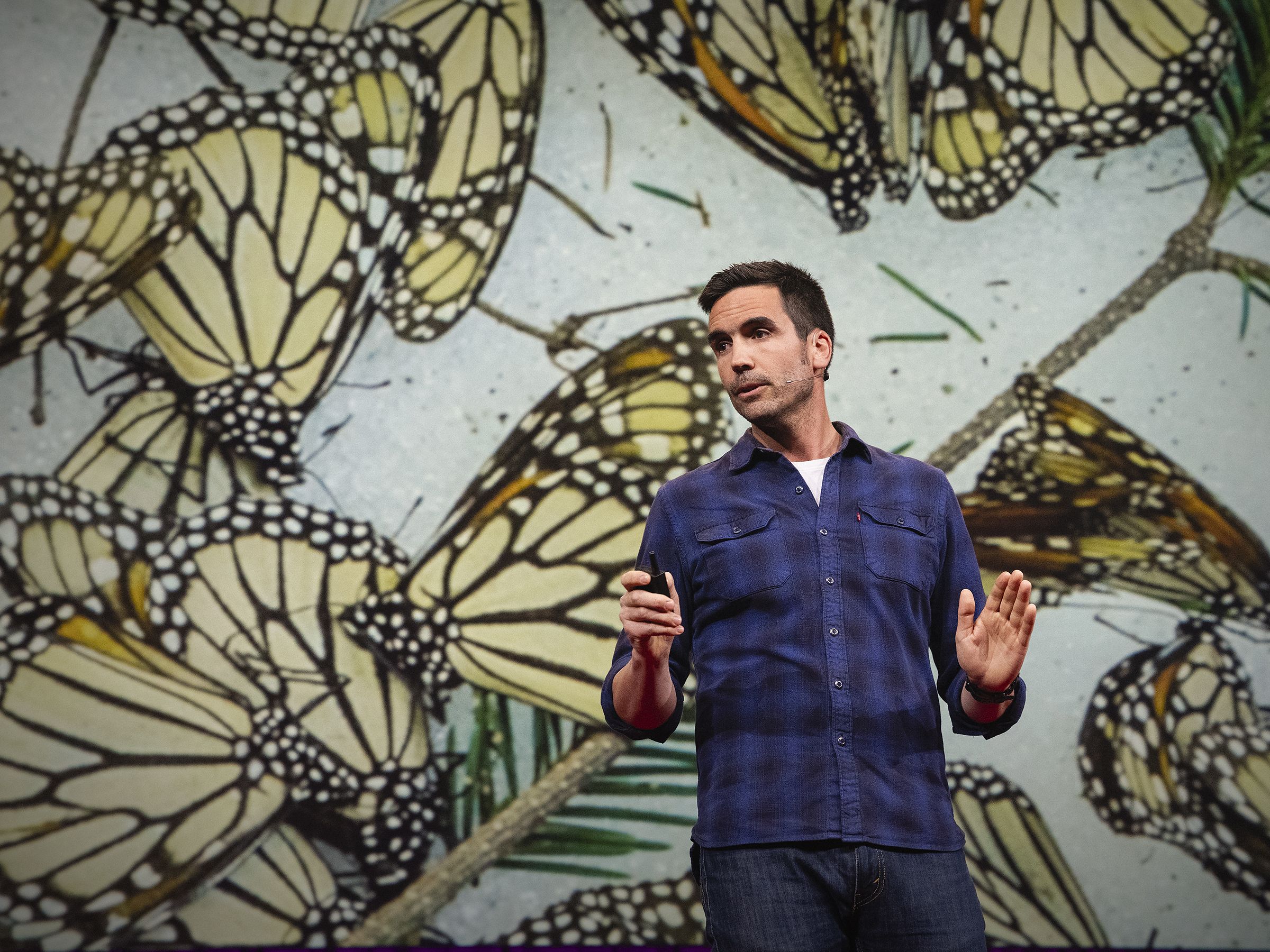 The magical, mesmerizing migration of monarch butterflies