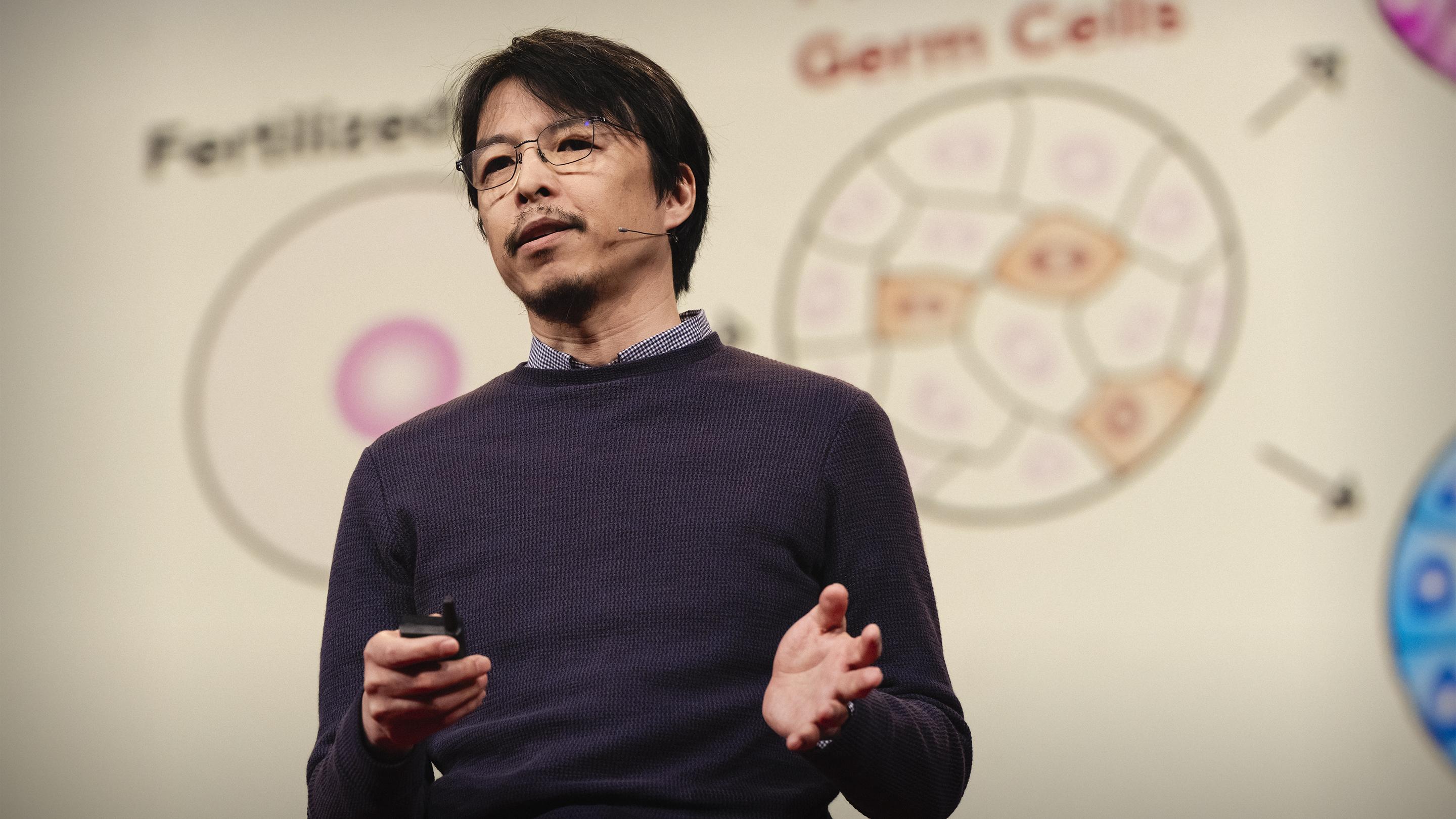 A mouse with two dads — and a new frontier for biology | Katsuhiko Hayashi