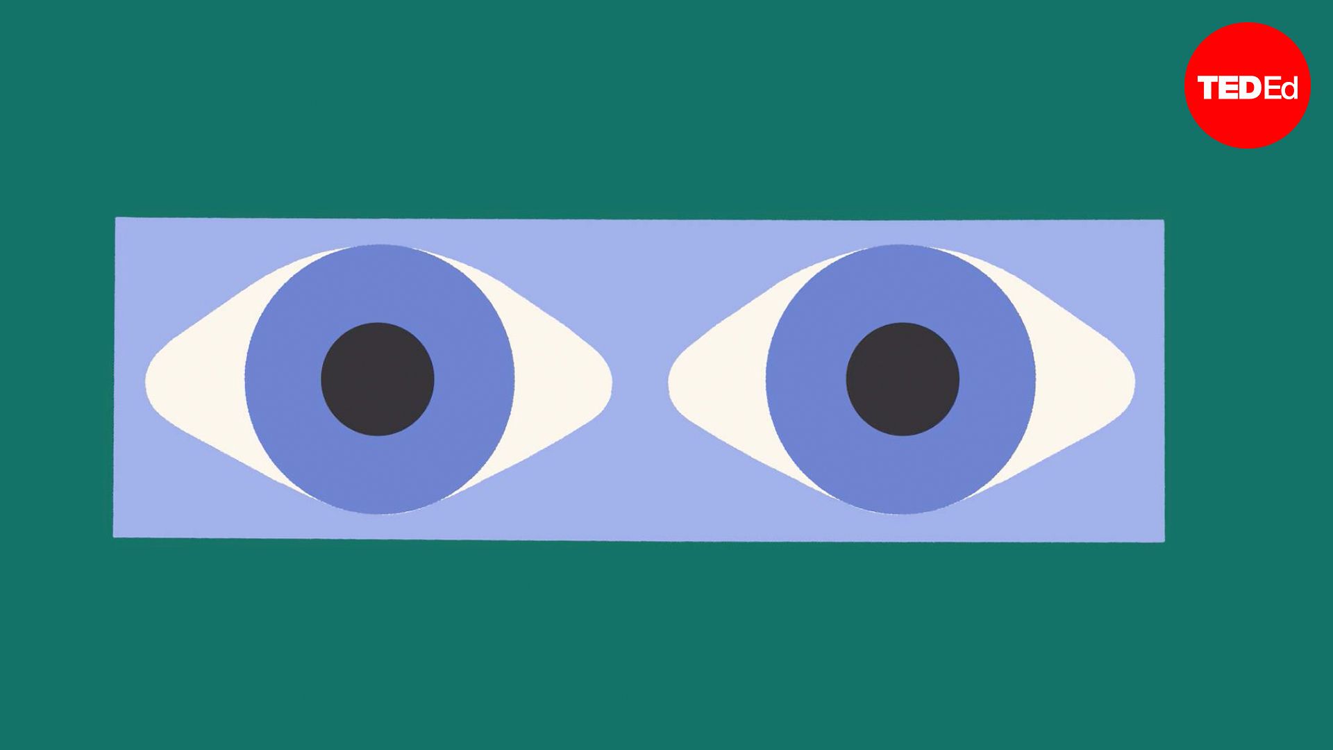 What are those colors you see when you rub your eyes?