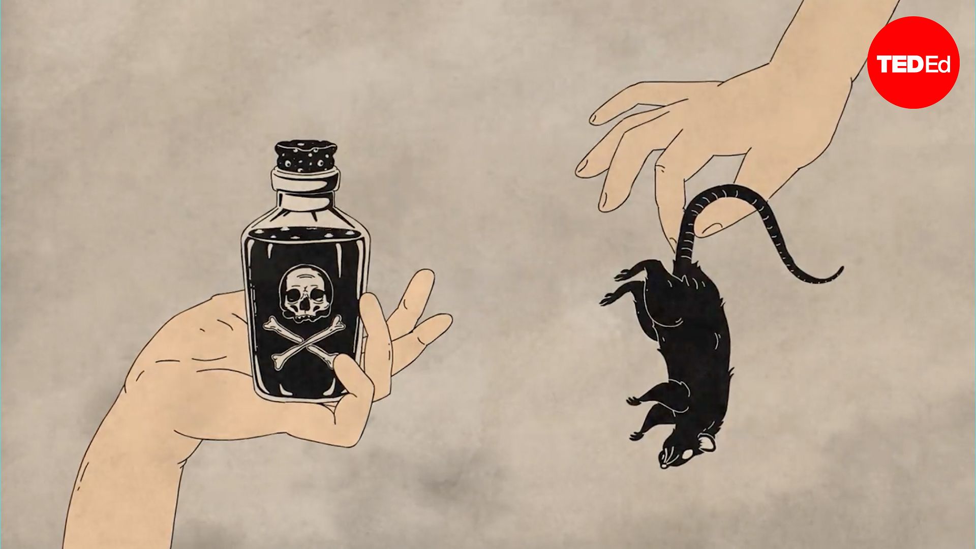 The history of the world according to rats