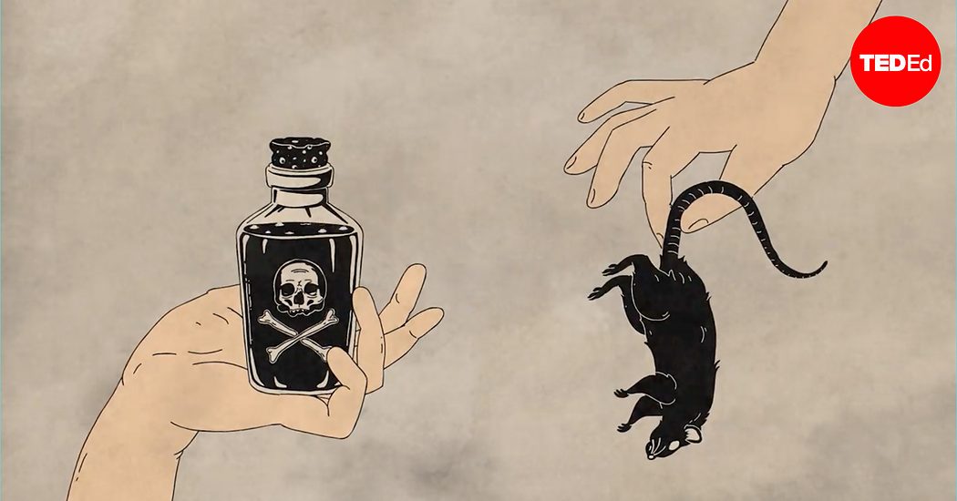 Why Are Rats Invented Max G. Levy: The history of the world according to rats | TED Talk